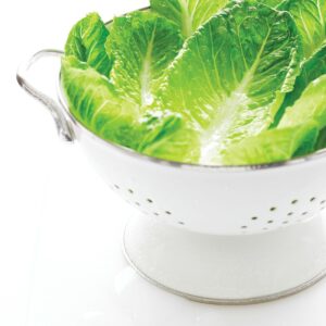10 ways with lettuce