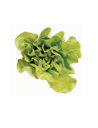 Ask the experts: Lettuce