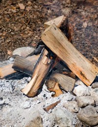 Ask the experts: Ash on food labels