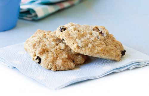 Blueberry oat cookies