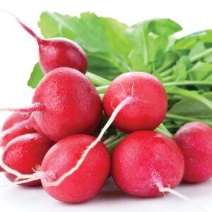In season late winter: Radishes