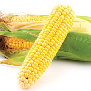 In season late summer: Sweet corn