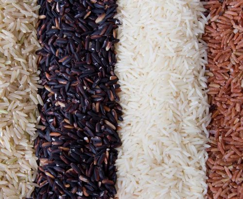 brown rice, black rice, white rice and red rice