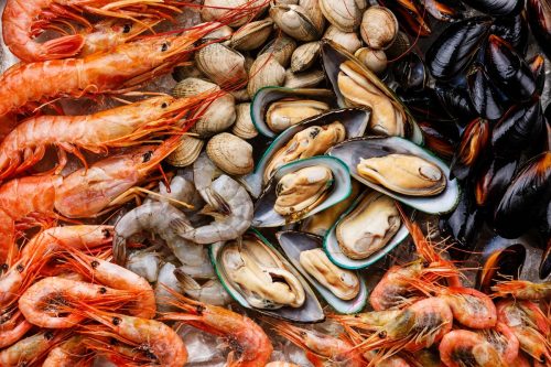 Why we like shellfish