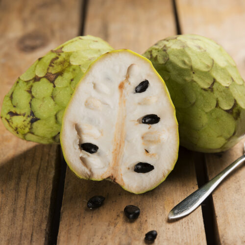 In season mid-spring: Cherimoya