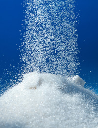 Spotlight on sugar