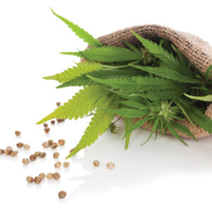Label detective: Hemp seeds for sale