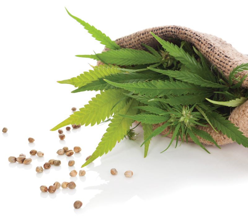 Label detective: Hemp seeds for sale