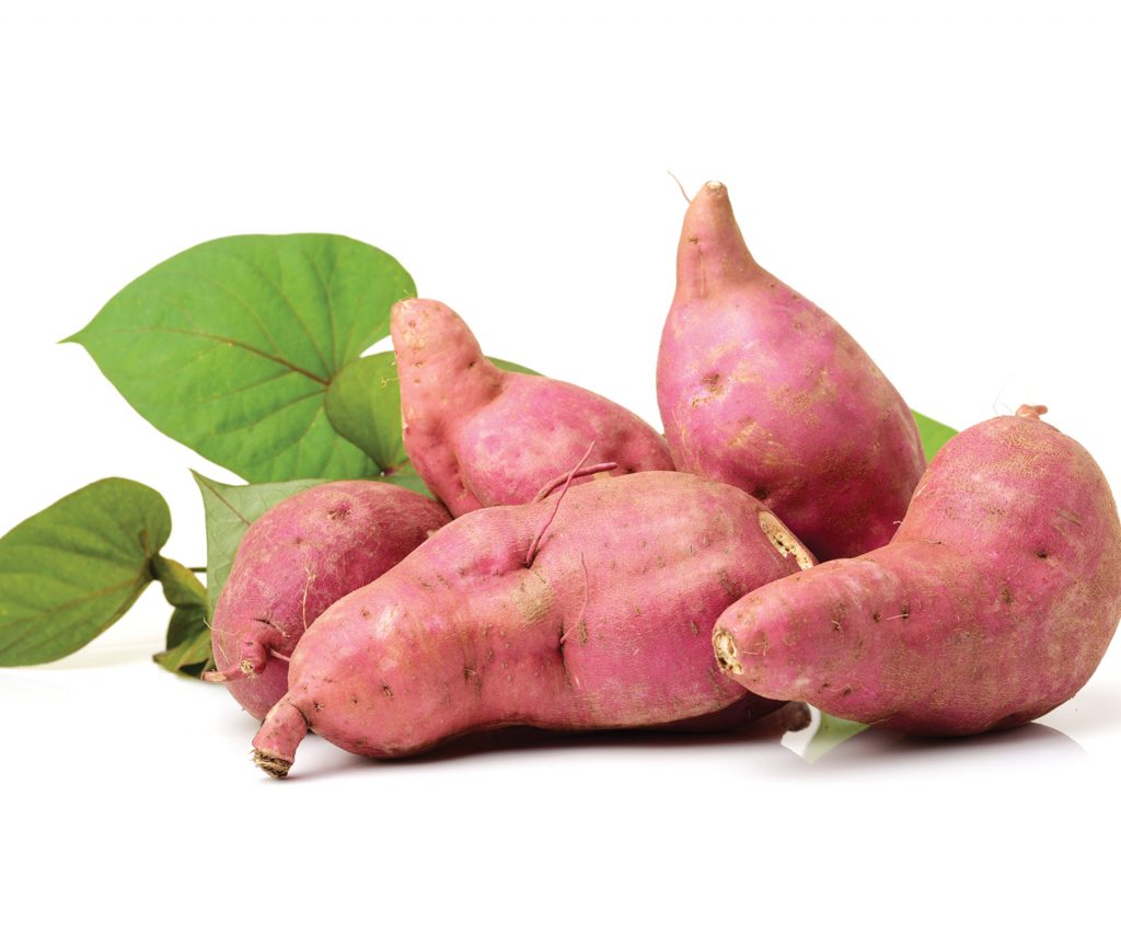 The lost plot How to grow kumara Healthy Food Guide