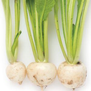 In season mid-autumn: Turnips, Granny Smith apples