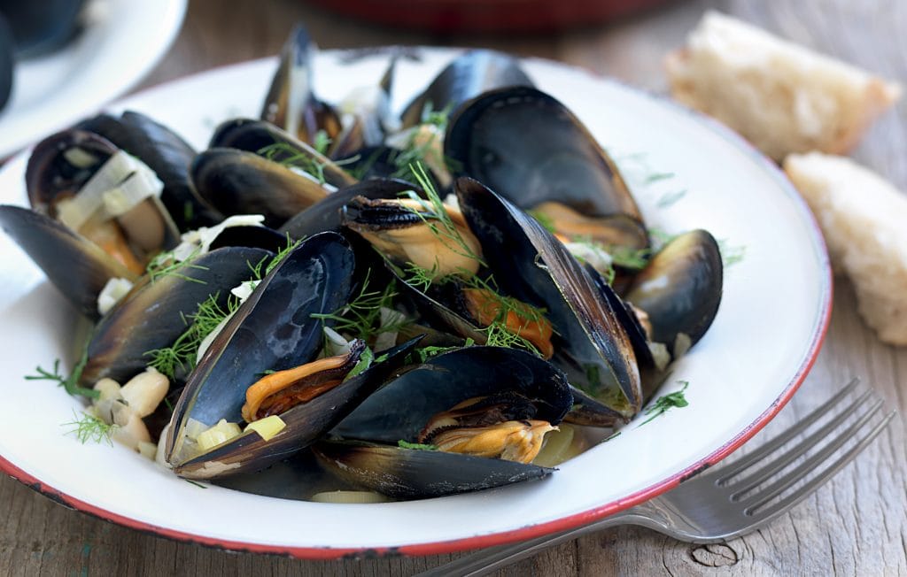 Mussels with fennel and cannellini beans in white wine broth Mussels with fennel and cannellini beans in white wine broth