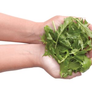 Portion distortion: Vege serves