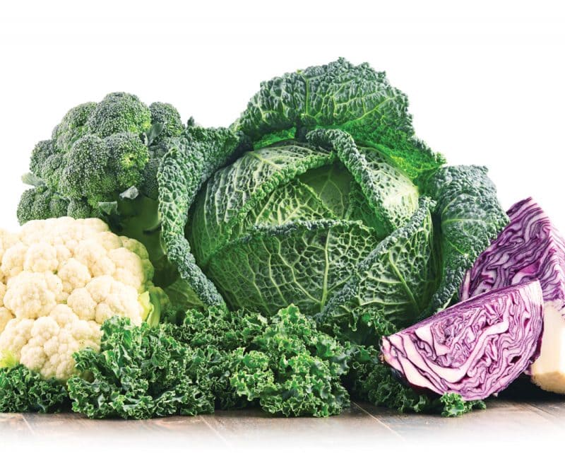 The lost plot: Planting winter veges