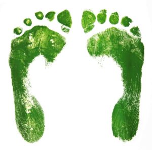 Study reveals carbon footprint of food
