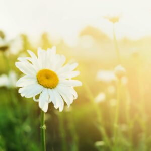 What to eat this spring