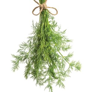 In season early summer: Dill, cherry tomatoes, rocket