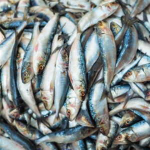 Vegetarian fish sauce substitute