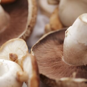 Do you have to wash mushrooms?