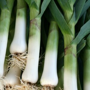 Ask the experts: Allium
