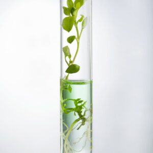 Ask the experts: GM ingredients