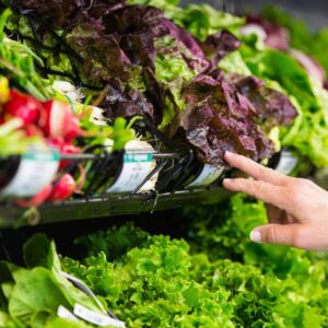 Ask the experts: Lettuce and chlorine