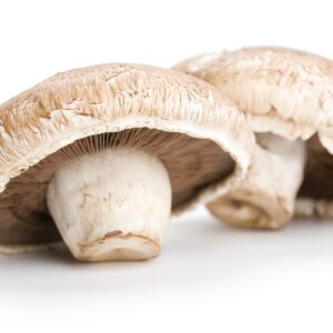 Ask the experts: Mushrooms and fungal infections