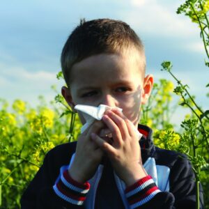 Ask the experts: Dripping and lard helps allergies?