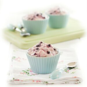 Blackcurrant iced mousse