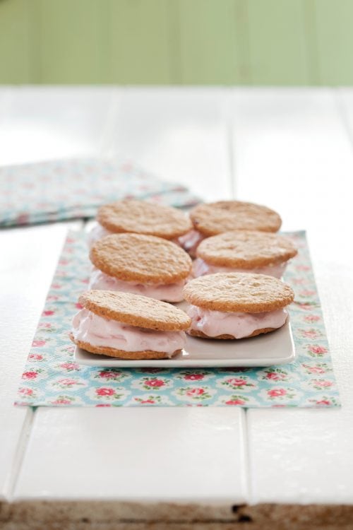 Frozen yoghurt sandwich