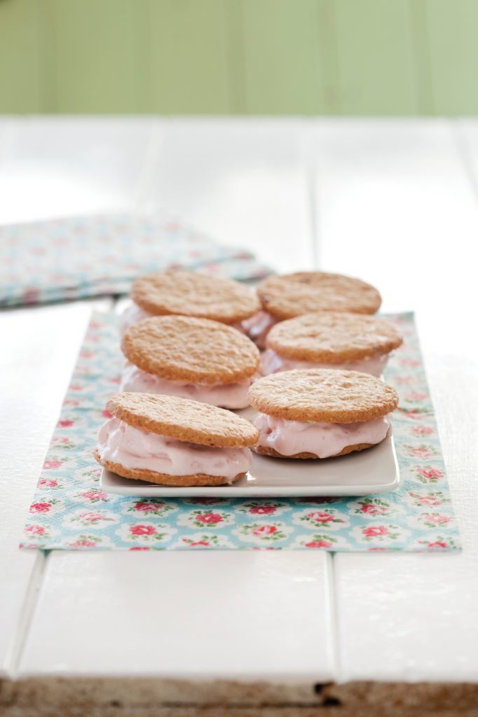 Frozen yoghurt sandwich Frozen yoghurt sandwich