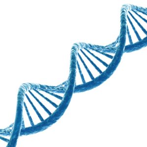 Future foods: Nutrigenomics