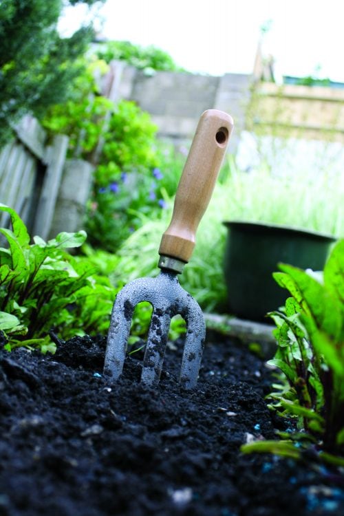 Gardening diary: Late spring