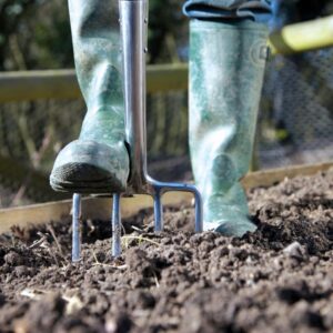 Gardening diary: Early spring