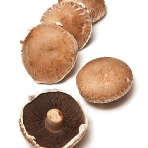 Guide to mushrooms