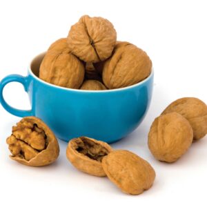 Guide to nuts