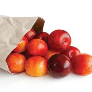 In season mid-summer: Plums