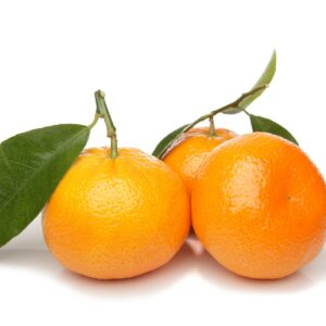 In season early winter: Mandarins