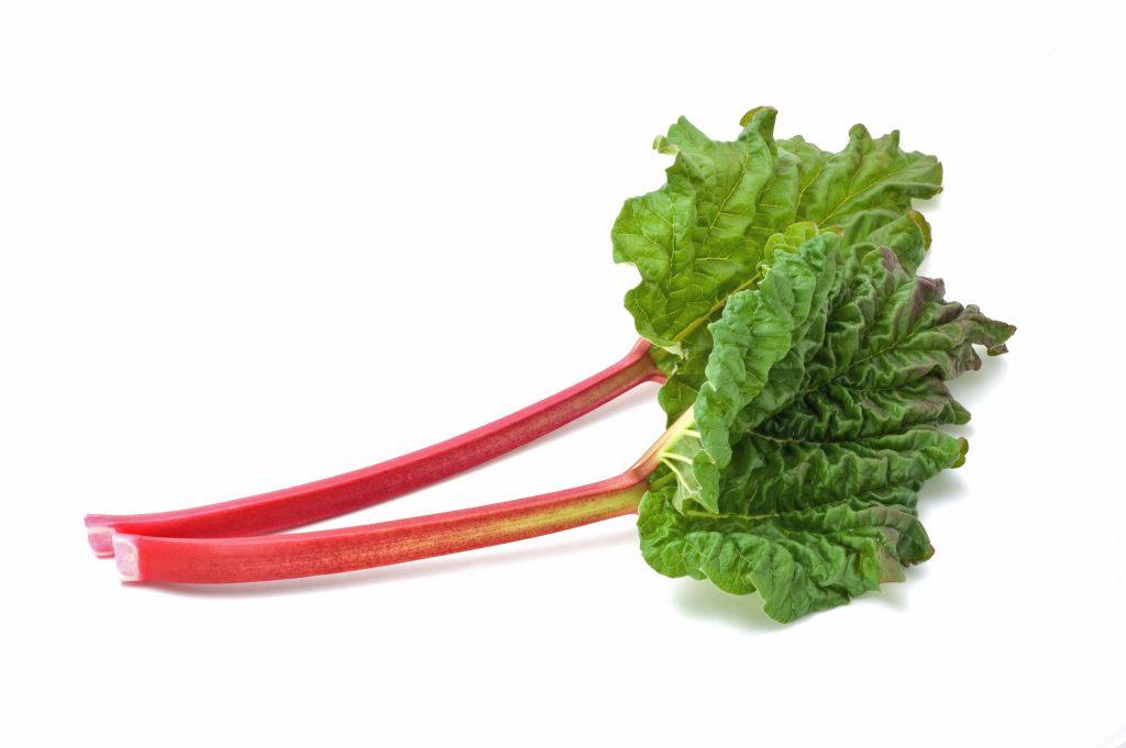 In season early winter Rhubarb Healthy Food Guide