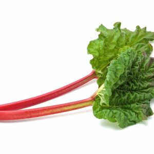 In season early winter: Rhubarb