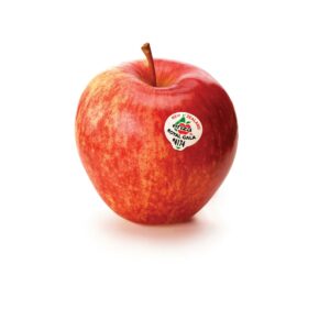 In season early autumn: Apples
