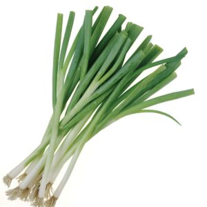 In season late autumn: Spring onions