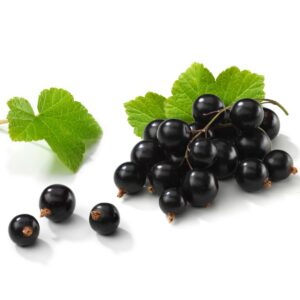 In season late spring: Blackcurrants