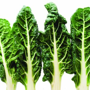 In season late winter: Silver beet