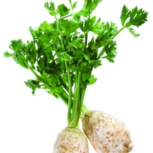 In season early autumn: Celery, celeriac