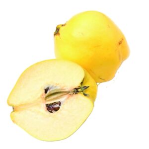 In season early autumn: Quince