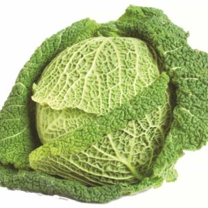 In season late autumn: Cabbage