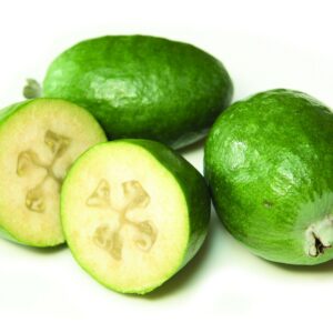 In season late autumn: Feijoas