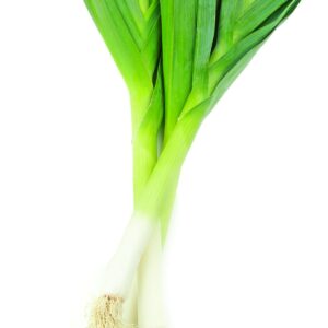 In season late autumn: Leeks