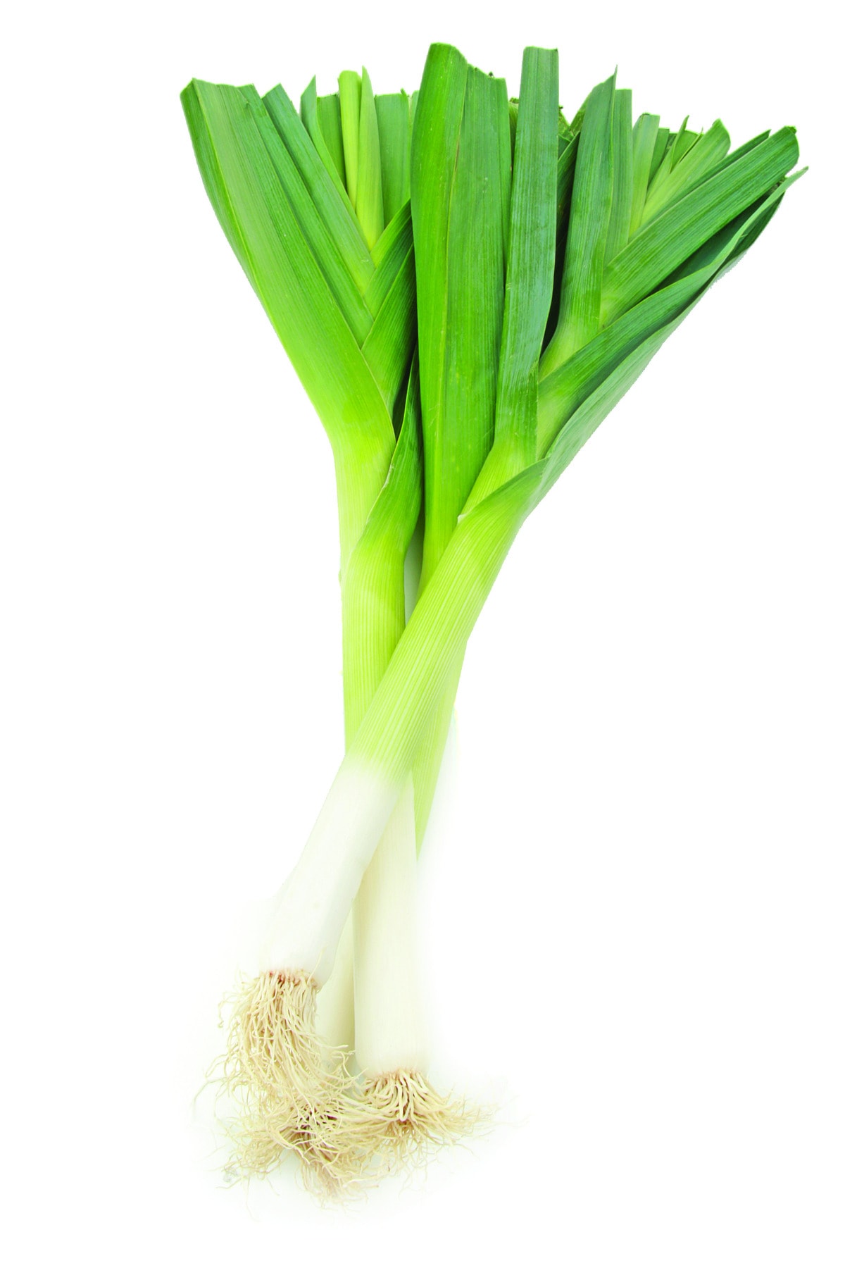In season late autumn: Leeks - Healthy Food Guide