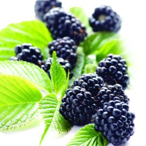In season late spring: Blackberries
